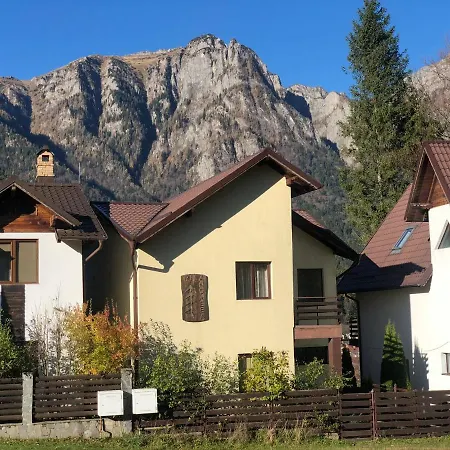 Holiday home Vila Andreea View Busteni