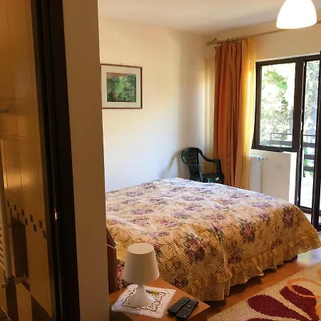 Vila Andreea View